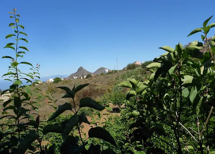 Casa Rural Isabel Vilaflor