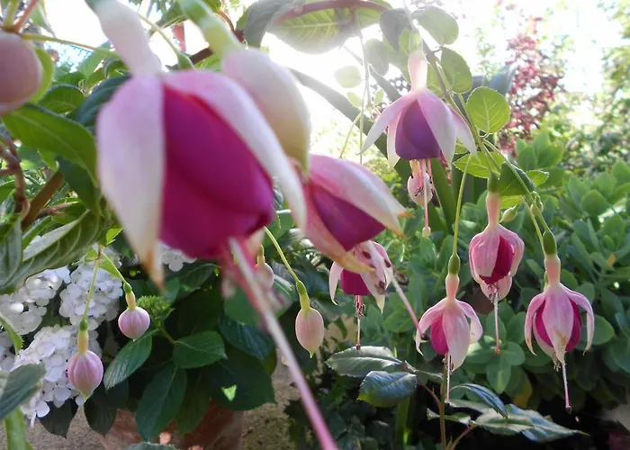 Feriehus Casa Rural Isabel *